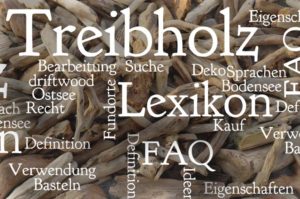 Treibholz-Lexikon für viele Fragen rund um das Thema Treibholz